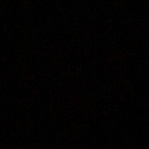 Meet your Posher, Buck